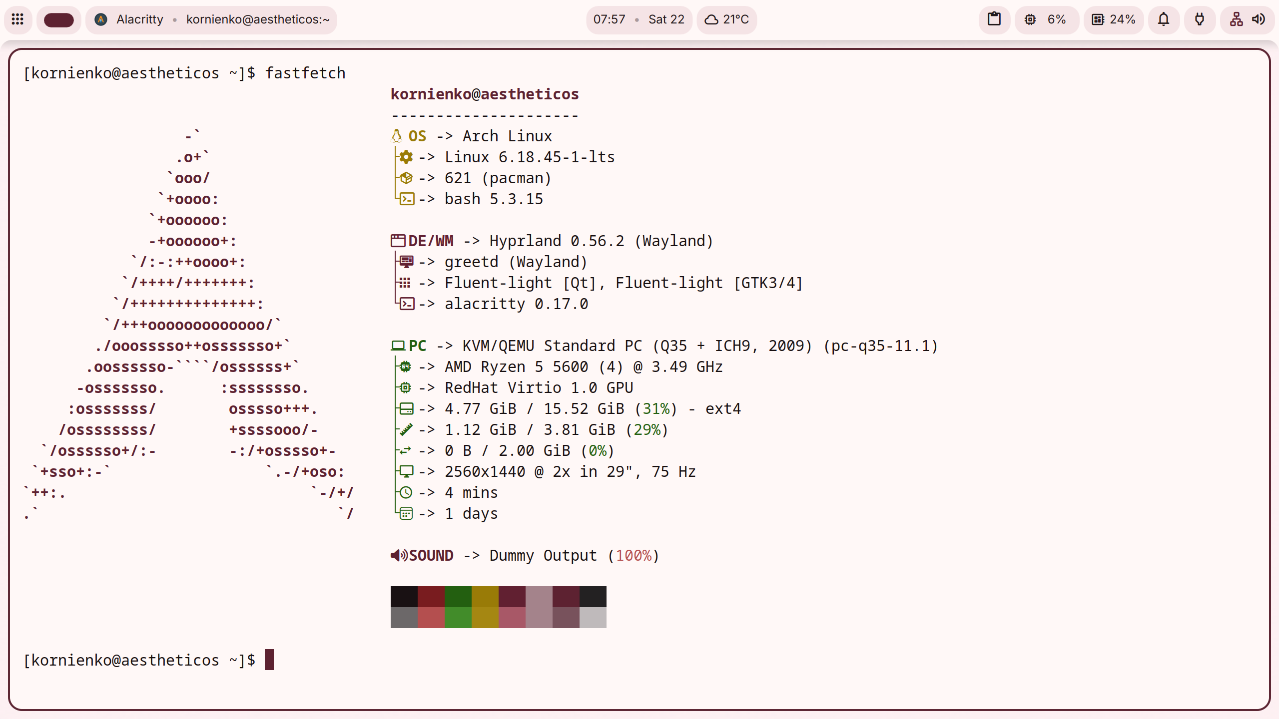 Aelum desktop terminal in light theme